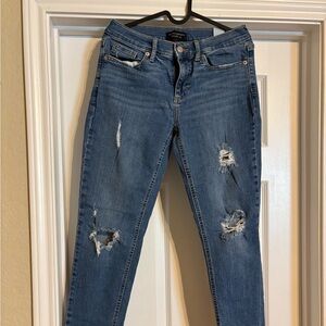 Banana Republic Blue Denim Jeans